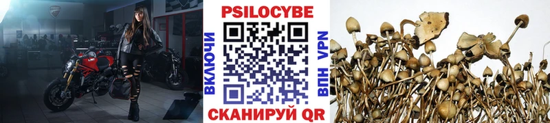 Псилоцибиновые грибы Magic Shrooms наркота Заводоуковск